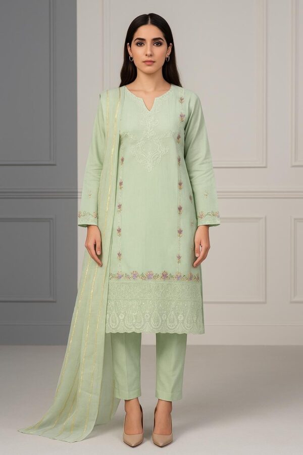Ladies Clothes Ready Wear