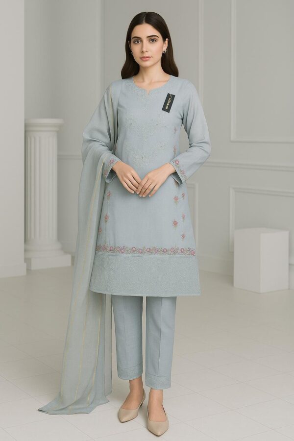 Ladies Clothes Ready Wear