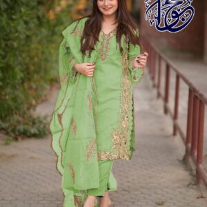 Ladies Clothes Ready Wear
